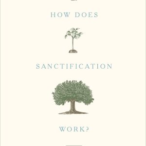 How Does Sanctification Work?